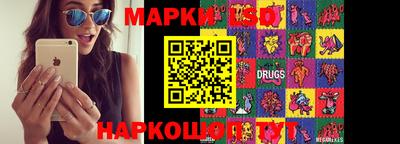 прущие грибы Можга