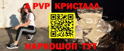 прущие грибы Можга