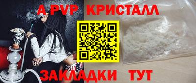 прущие грибы Можга