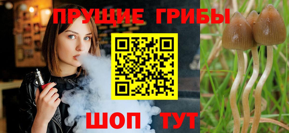 Галлюциногенные грибы Psilocybine cubensis Учалы