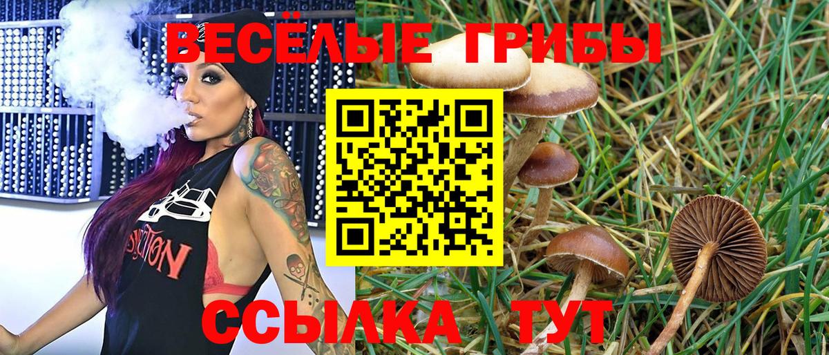 Псилоцибиновые грибы ЛСД  Галлюциногенные грибы мухоморы  Вход с VPN  Учалы 